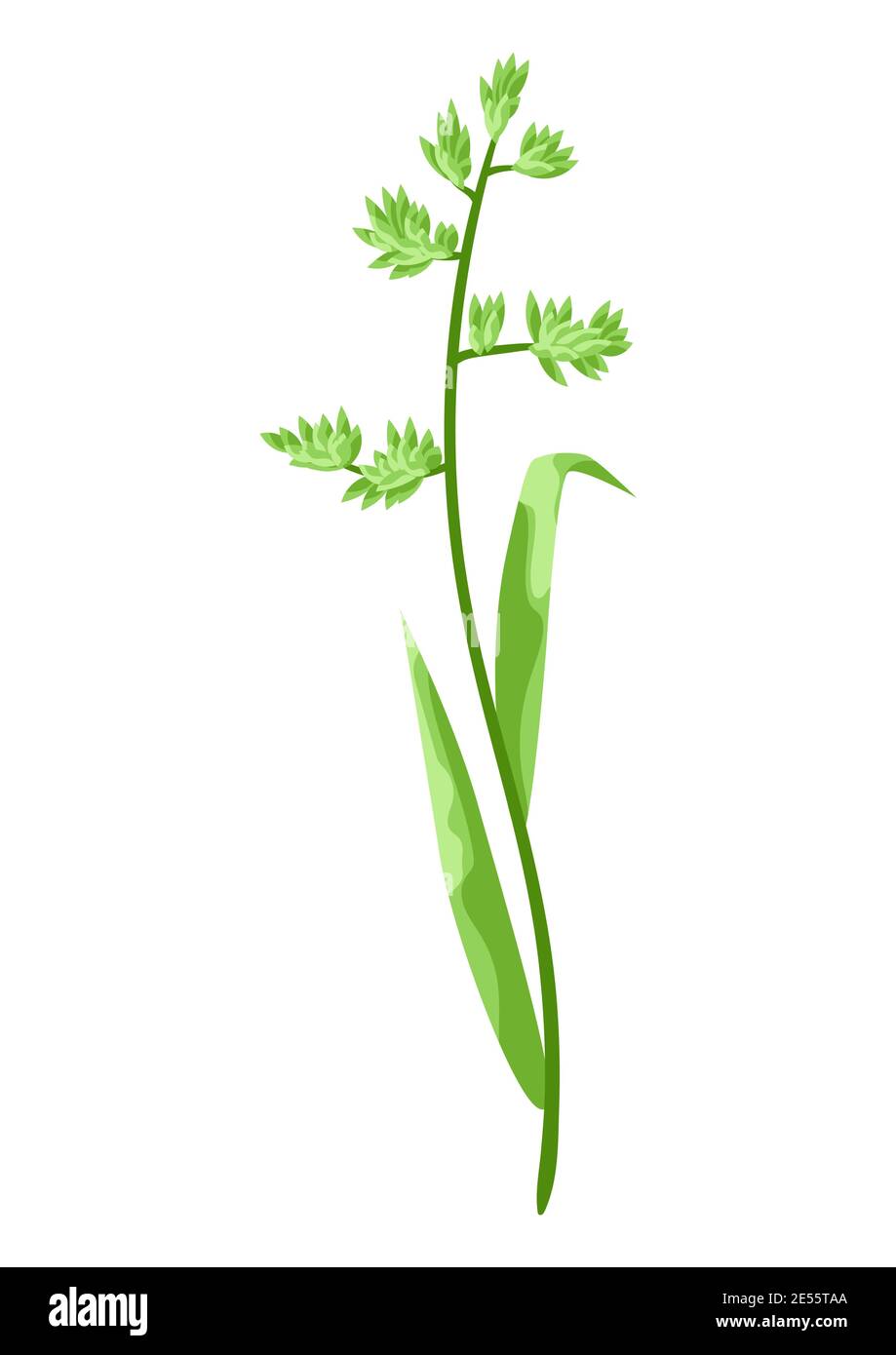 Illustration de l'herbe à céréales stylisée. Illustration de Vecteur