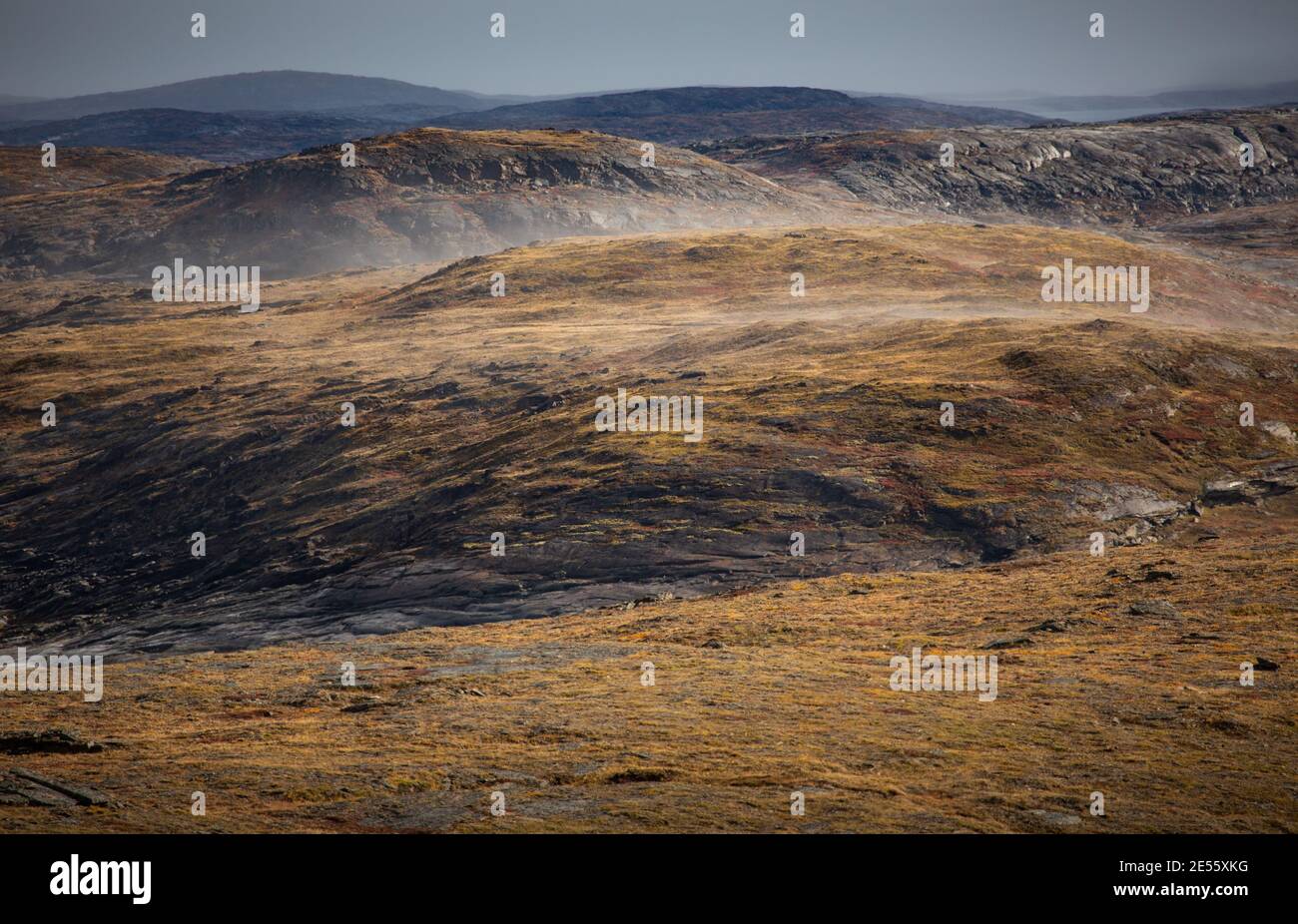 Brume suspendue sur les collines vallonnées de la toundra arctique Banque D'Images