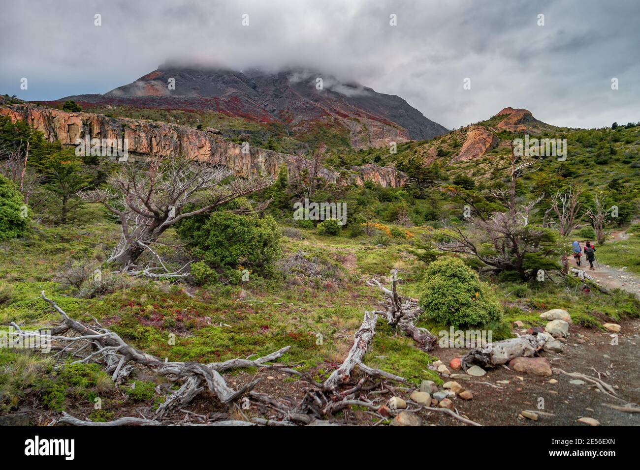 Vue panoramique des randonneurs seuls qui marchent dans un paysage surréaliste dans le parc national de Torres del Paine, Patagonie, Chili Banque D'Images