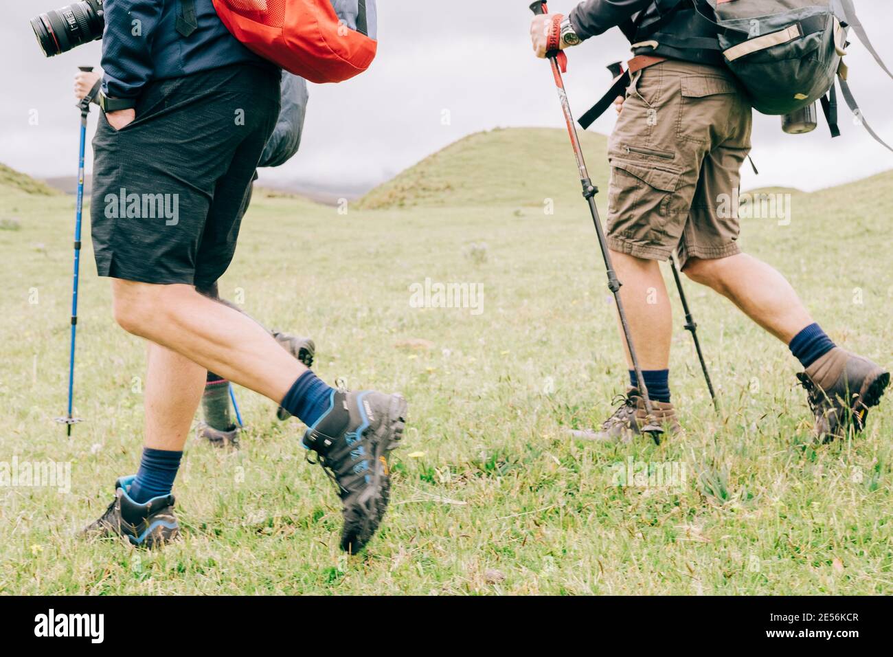 Randonnée avec des amis en Equateur. Banque D'Images