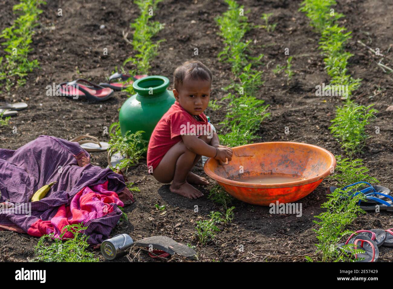 Abbigeri, Karnataka, Inde - 6 novembre 2013: Jeune garçon tout-petit avec chemise rouge est assis avec un grand bassin orange parmi les petites plantes vertes dans le brun foncé di Banque D'Images