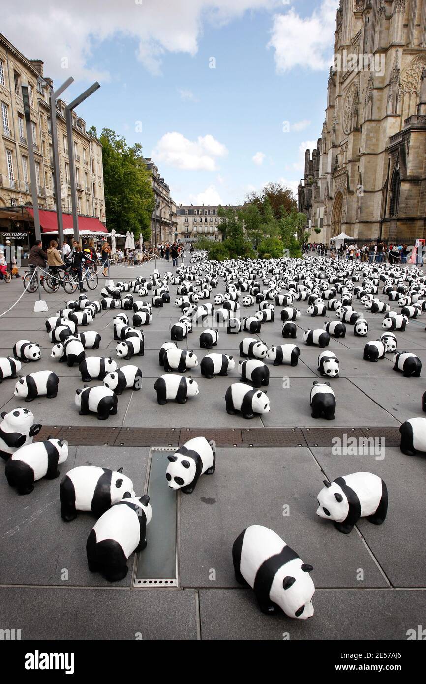 1,600 pandas paper mache ont été installés par des membres du Fonds mondial pour la nature (WWF) dans le centre de Bordeaux, dans le sud-ouest de la France, le 7 septembre 2008, pour sensibiliser davantage le public aux espèces menacées. Selon des enquêtes récentes, il n'y a actuellement que 1,600 pandas géants vivants dans le monde entier, dont environ 1,000 en Chine. L'exposition intitulée « 1,600 Pandas in Town » va également voyager dans le monde entier. Le panda est le symbole du WWF depuis sa création en 1961. Photo de Patrick Bernard/ABACAPRESS.COM Banque D'Images