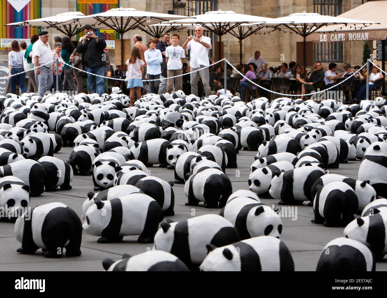 1,600 pandas paper mache ont été installés par des membres du Fonds mondial pour la nature (WWF) dans le centre de Bordeaux, dans le sud-ouest de la France, le 7 septembre 2008, pour sensibiliser davantage le public aux espèces menacées. Selon des enquêtes récentes, il n'y a actuellement que 1,600 pandas géants vivants dans le monde entier, dont environ 1,000 en Chine. L'exposition intitulée « 1,600 Pandas in Town » va également voyager dans le monde entier. Le panda est le symbole du WWF depuis sa création en 1961. Photo de Patrick Bernard/ABACAPRESS.COM Banque D'Images