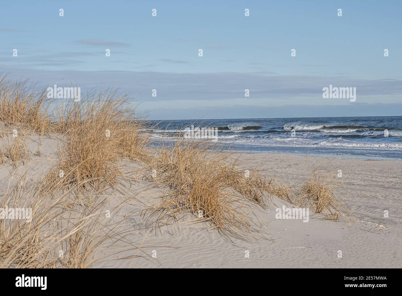 Une vue magnifique sur les dunes de sable et la plage, Avalon, New Jersey Banque D'Images