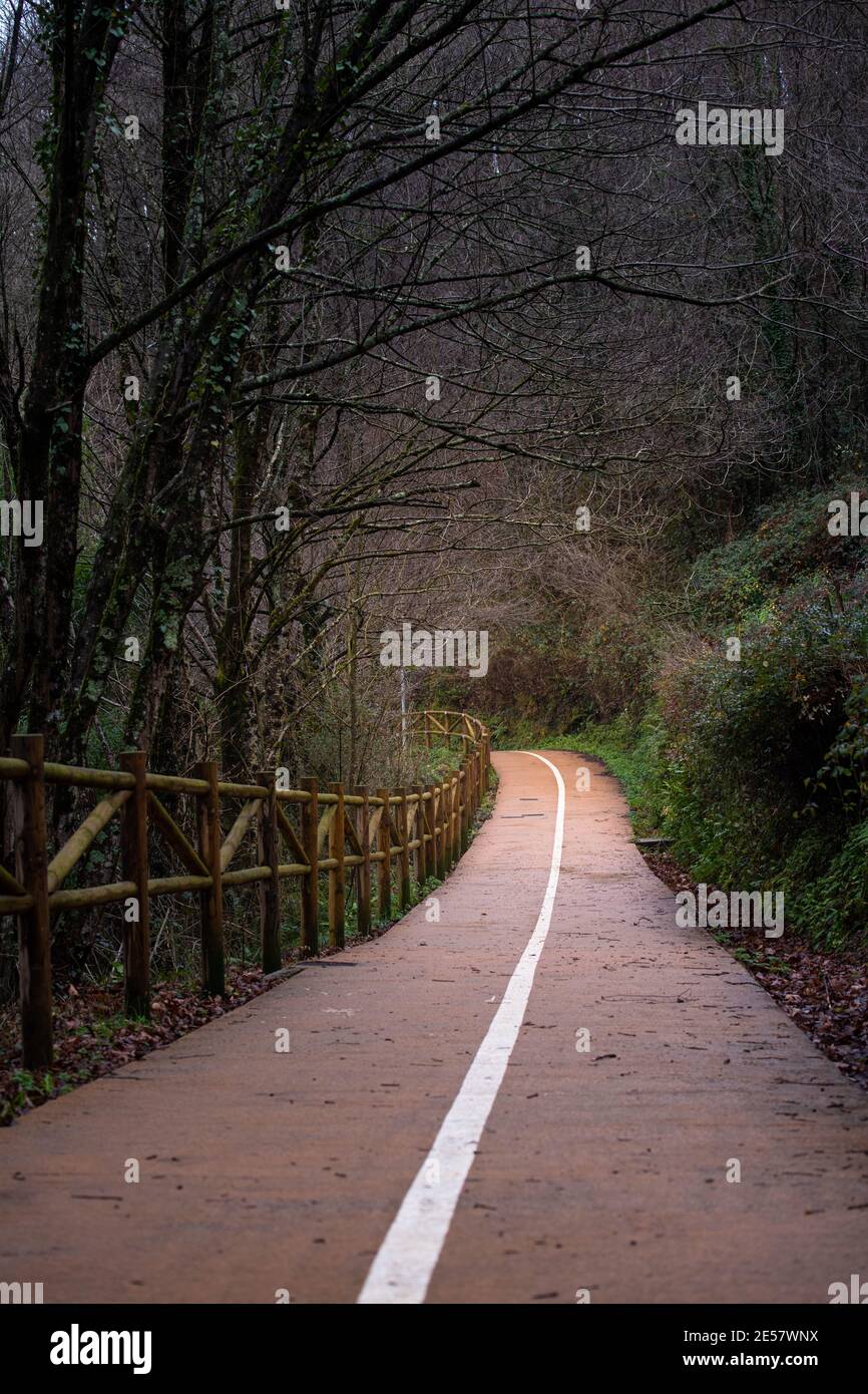 Un long sentier avec ligne directrice le long de la forêt de bambou Banque D'Images