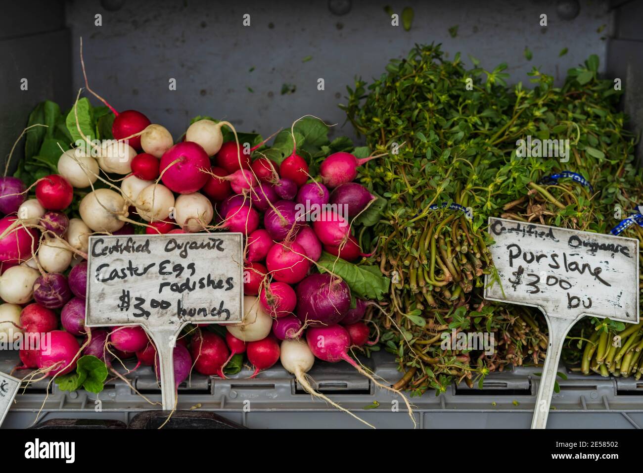 Légumes et herbes biologiques au marché agricole Banque D'Images