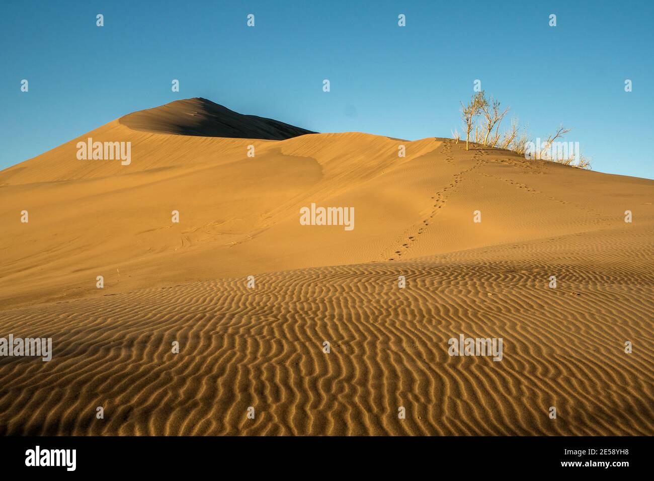 Lever du soleil au parc national Bruneau Dunes de l'Idaho Banque D'Images