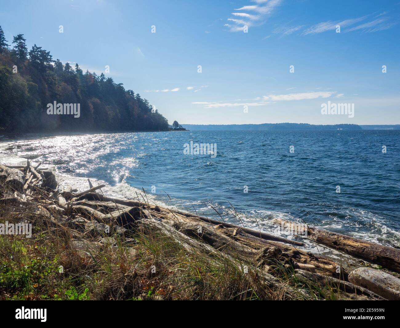 Lincoln Park est un parc de 135 acres (0.55 km2) situé dans l'ouest de Seattle, entre Fauntleroy Way S.W. et Puget Sound. L'un des plus grands parcs de Seattle, attractions i Banque D'Images