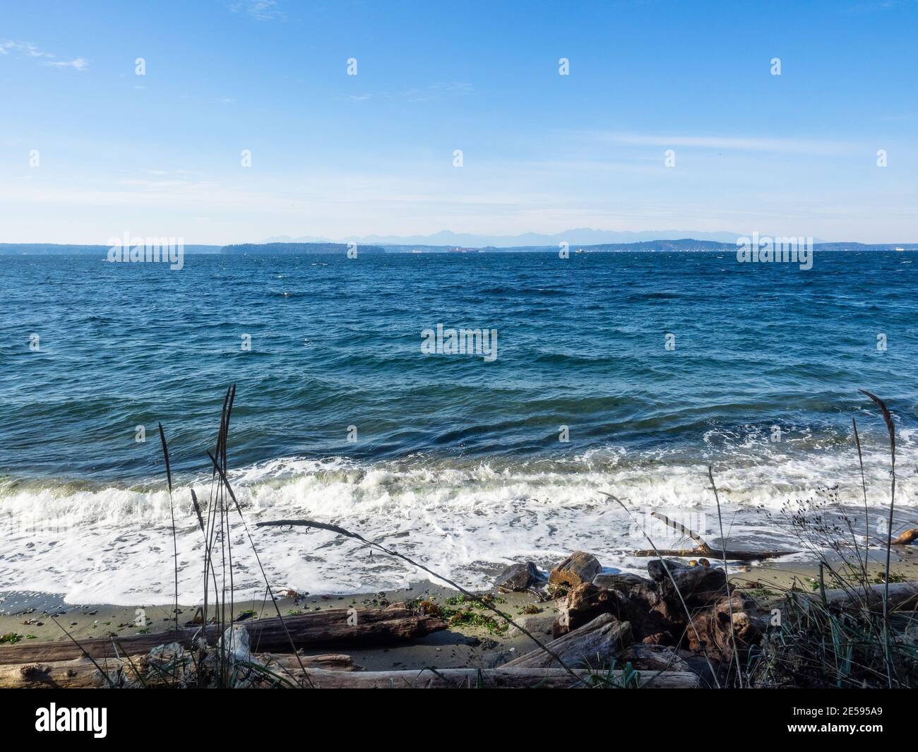 Lincoln Park est un parc de 135 acres (0.55 km2) situé dans l'ouest de Seattle, entre Fauntleroy Way S.W. et Puget Sound. L'un des plus grands parcs de Seattle, attractions i Banque D'Images