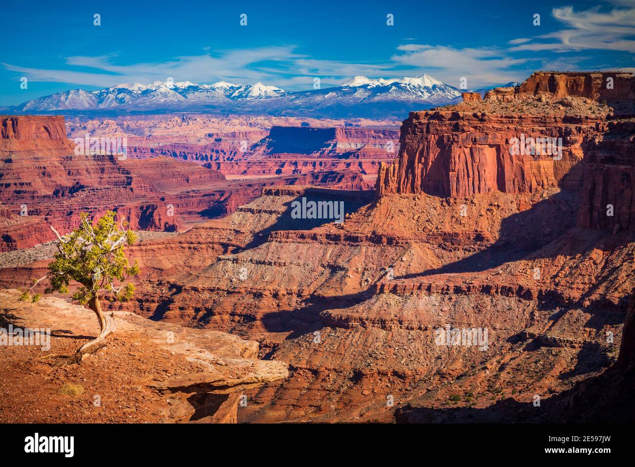 Canyonlands National Park est un parc national américain situé dans le sud-est de l'Utah près de la ville de Moab. Banque D'Images