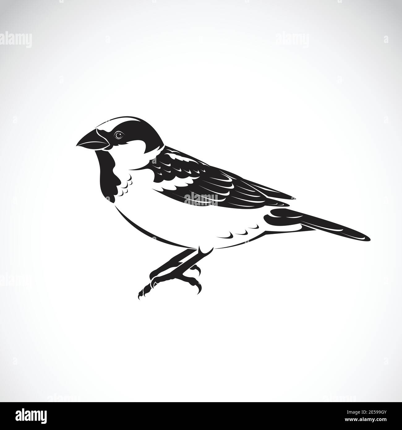 Vecteur de motif clairsemé sur fond blanc. Icône oiseau. Illustration vectorielle superposée facile à modifier. Animaux sauvages. Illustration de Vecteur