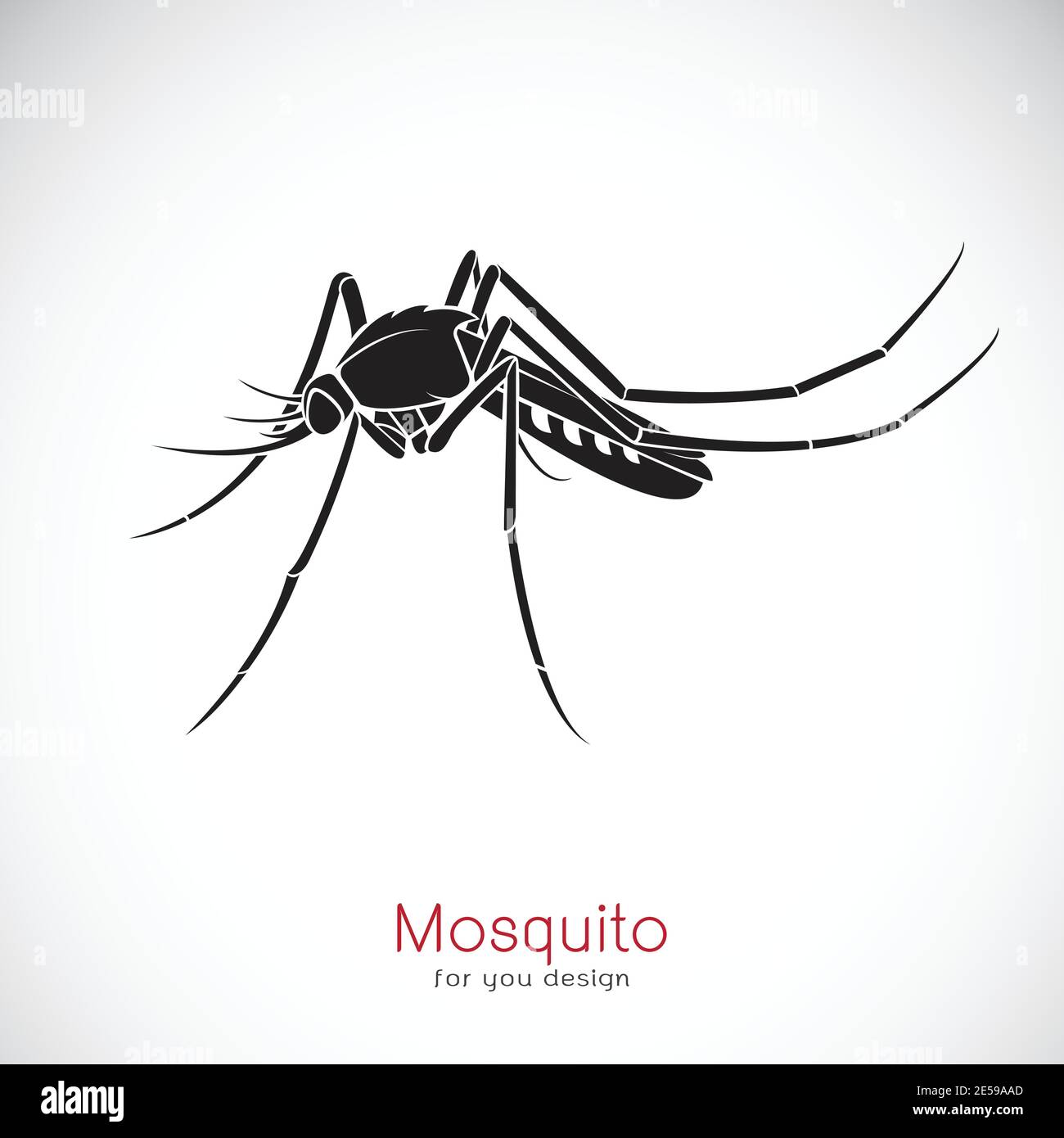 Vecteur d'un motif de moustiquaire sur fond blanc. Insecte. Animal. Illustration de Vecteur