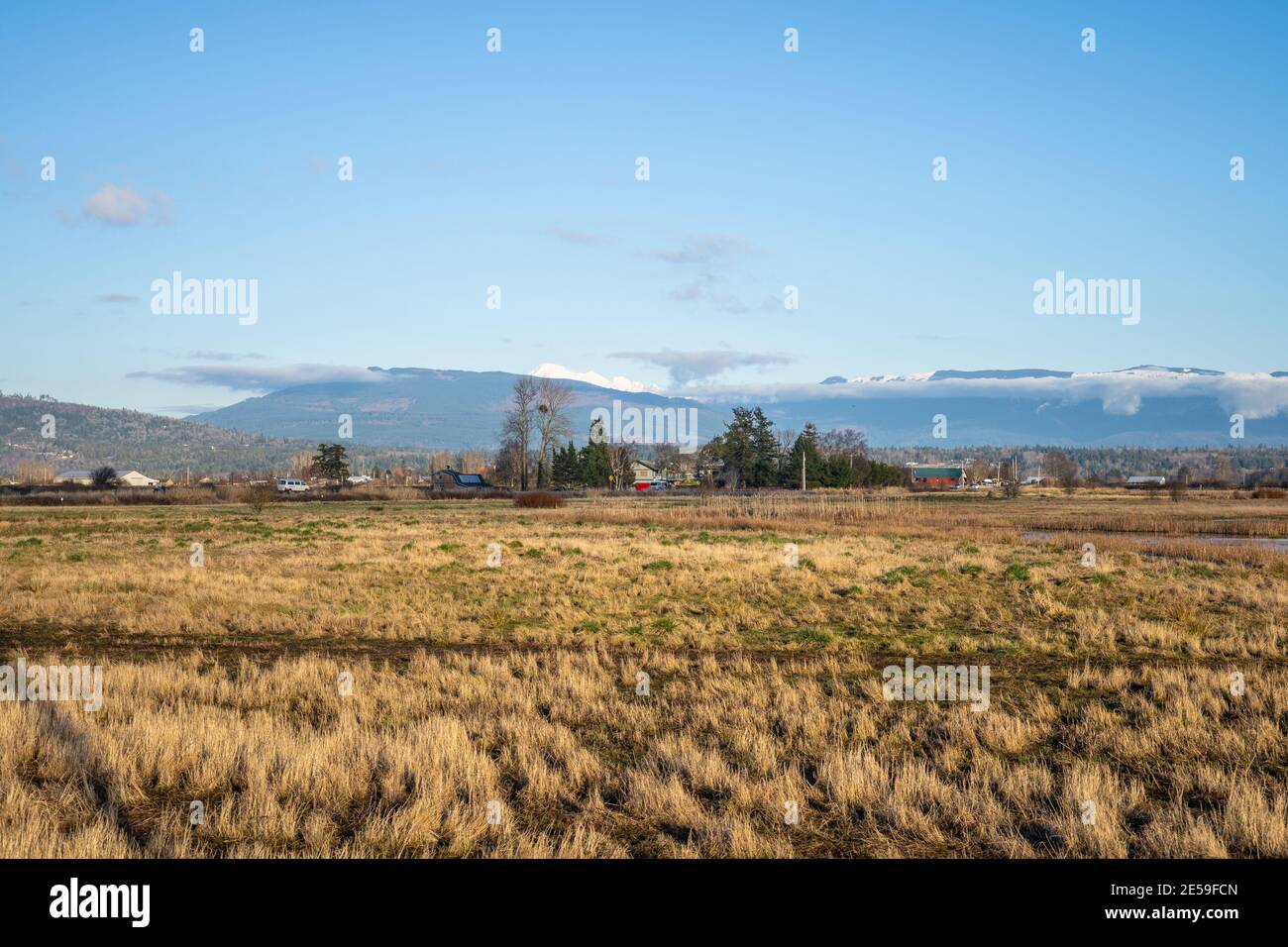 L'unité Samish est composée de champs agricoles et de milieux humides, situés à côté de la baie Padilla, dans le nord-ouest du comté de Skagit. C'est une sauvagine populaire Banque D'Images