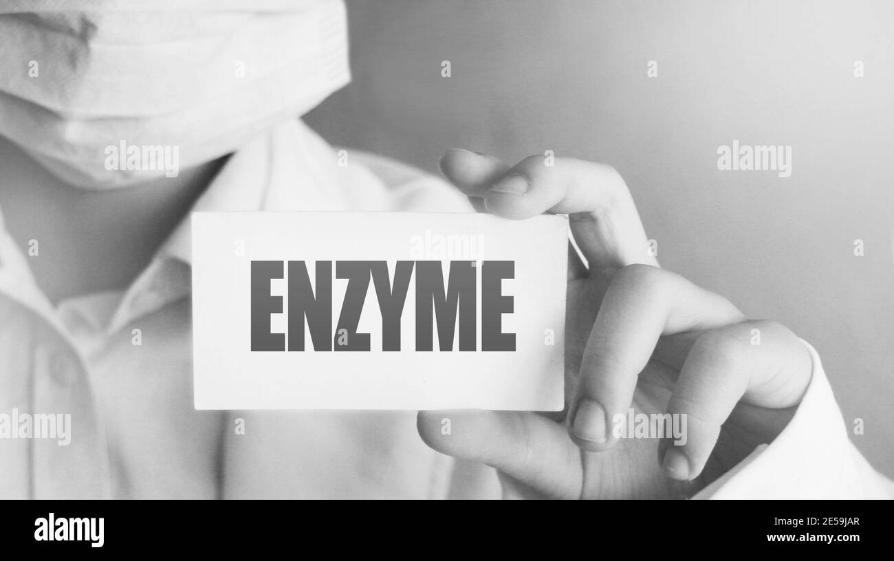 Médecin tenant une carte avec texte enzyme concept médical. Banque D'Images