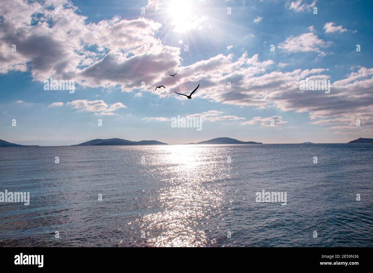 voyage de liberté, ciel marin et paix. seagull, jonathan livingston Banque D'Images