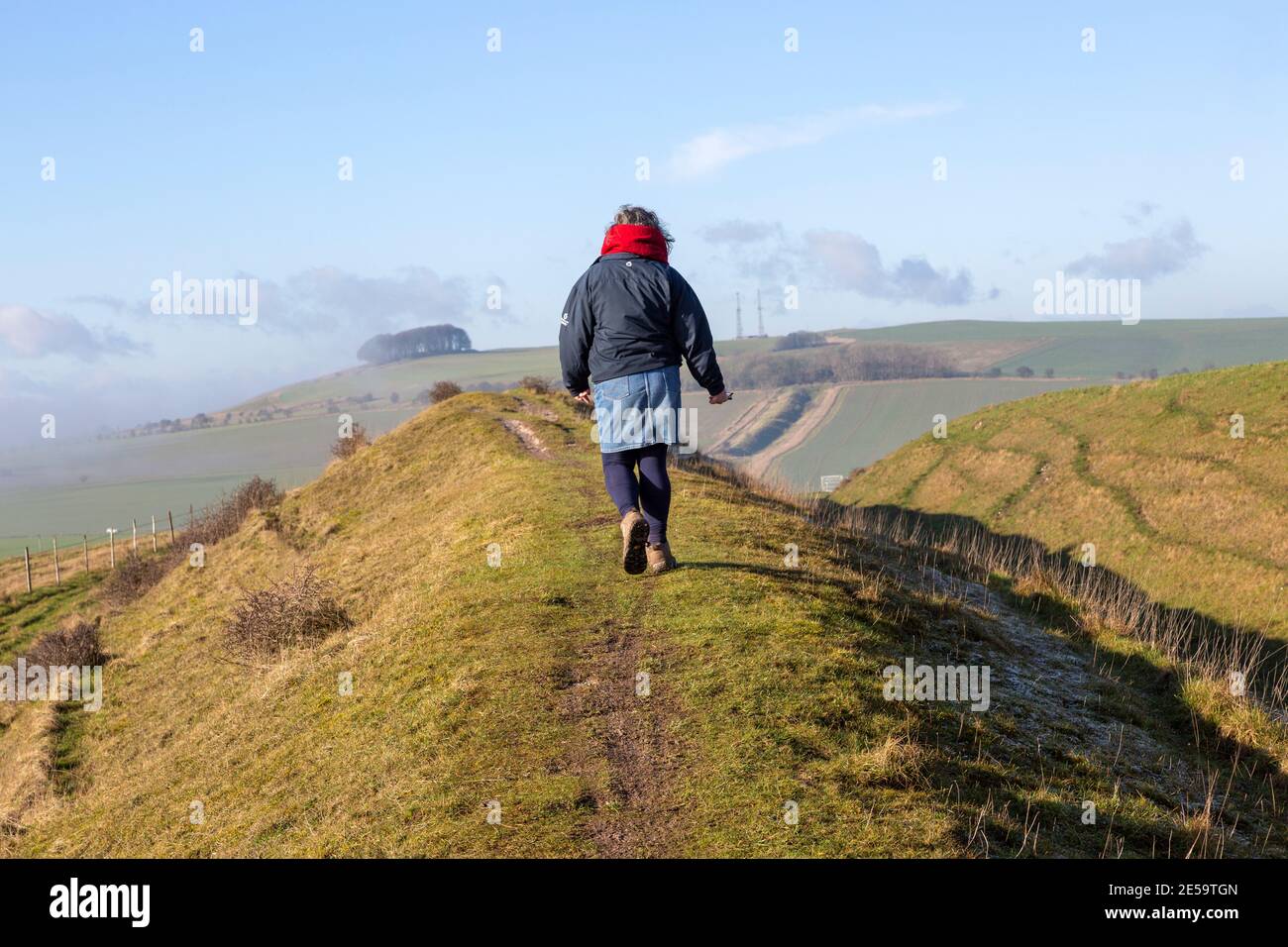 Femme marchant sur les travaux de terre de Wansdike, vue sur Morgan's Hill, nord Wessex Downs AONB, Wiltshire, Angleterre, Royaume-Uni Banque D'Images