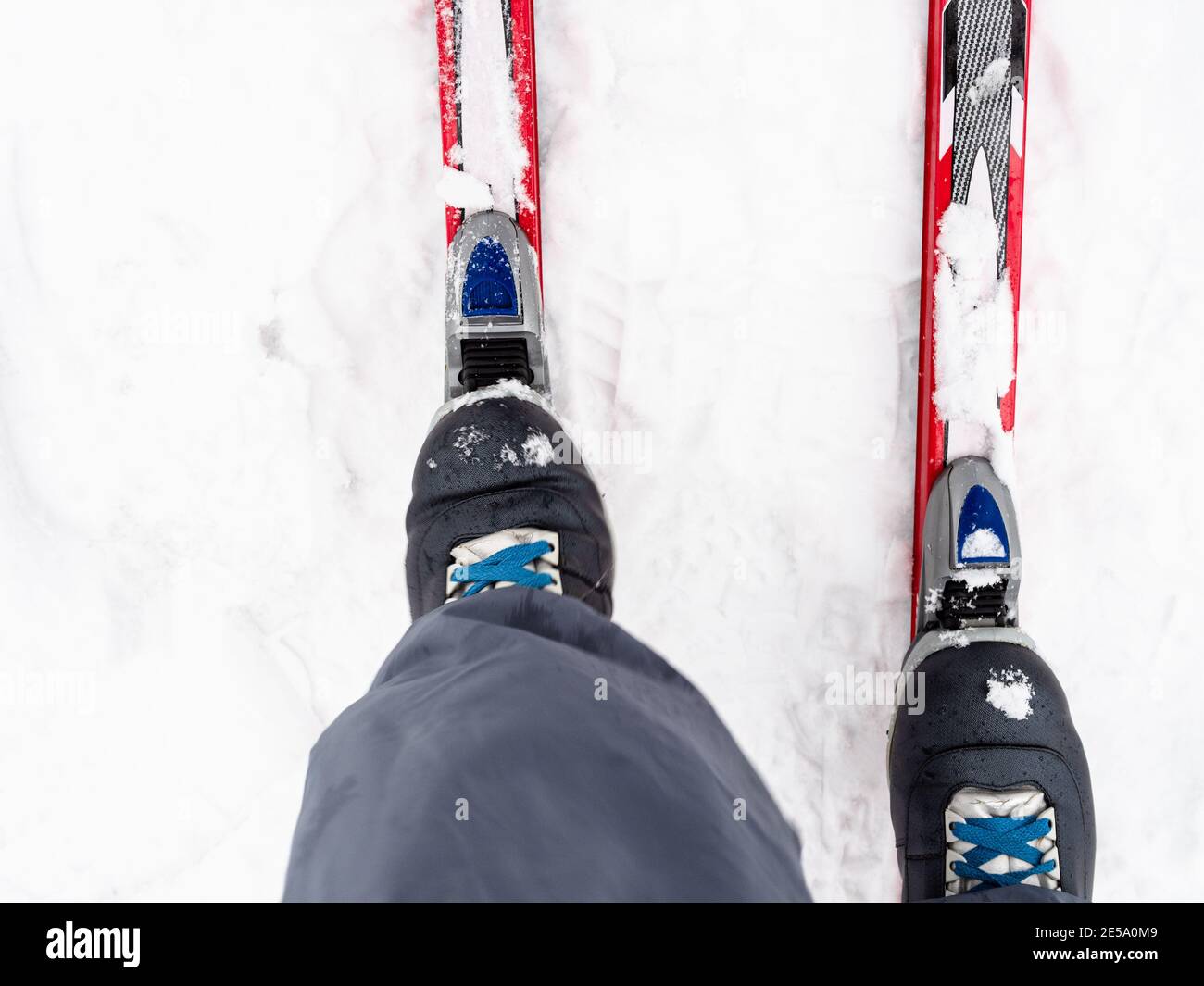 vue de dessus du skieur fixe les bottes aux skis en plastique à neige en hiver Banque D'Images