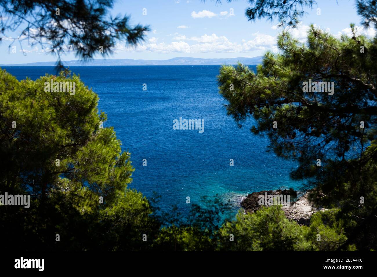 Pins et de bleu de la mer à San Domino. Îles Tremiti. Les Pouilles. L'Italie. Canon 5D mktII L EF 24-105mm en Italie du sud au nord de péninsule du Gargano Gargano (n Banque D'Images