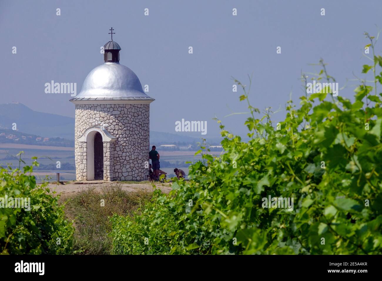 Chapelle au milieu des vignobles, paysage rural Moravie du Sud République tchèque Banque D'Images