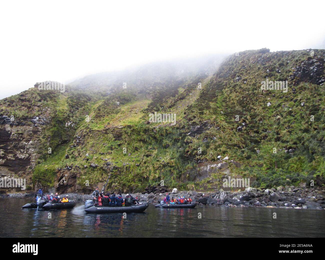 îles antipodes Banque de photographies et d'images à haute résolution -  Alamy