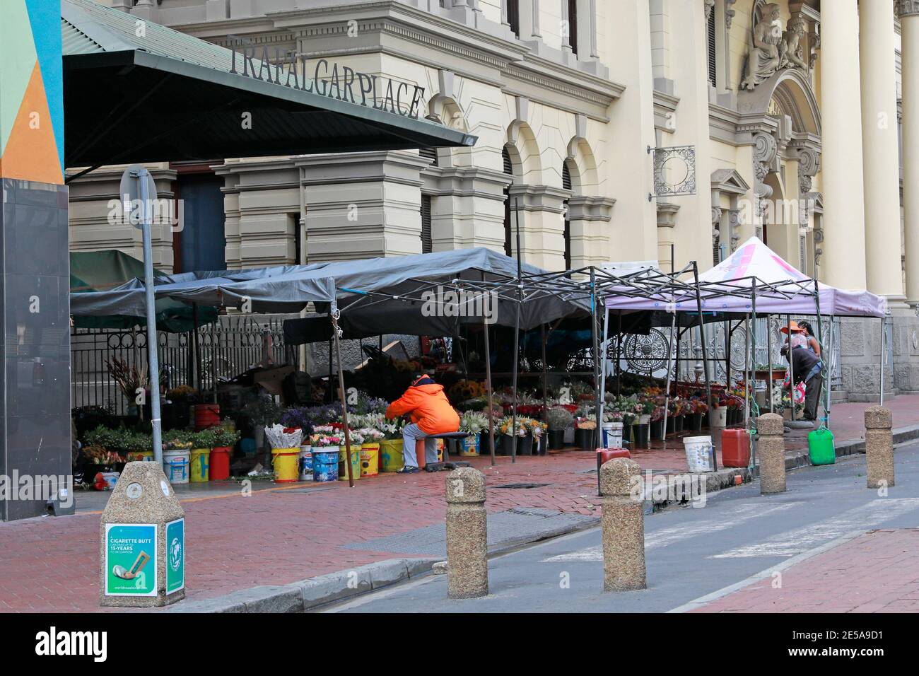 Adderley Street Flower Market, également connu sous le nom de Trafalgar place Flower Market au Cap, en Afrique du Sud. Banque D'Images