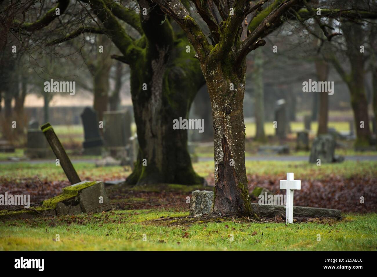 Glasgow, Écosse, Royaume-Uni. 27 janvier 2021. En photo : avec des décès liés au coronavirus (COVID-19) au Royaume-Uni qui passent maintenant 100,000, le Royaume-Uni est l'un des pays les plus touchés, le Royaume-Uni étant actuellement à égalité avec de plus grands pays comme le Brésil et les États-Unis d'Amérique partageant un nombre aussi élevé de morts. Avec la propagation de nouvelles souches du virus, le Royaume-Uni et les gouvernements dévotés doivent utiliser toutes les ressources de manière efficace pour endiguer le nombre croissant de décès si le Royaume-Uni doit sortir de cette pandémie. Crédit : Colin Fisher/Alay Live News Banque D'Images