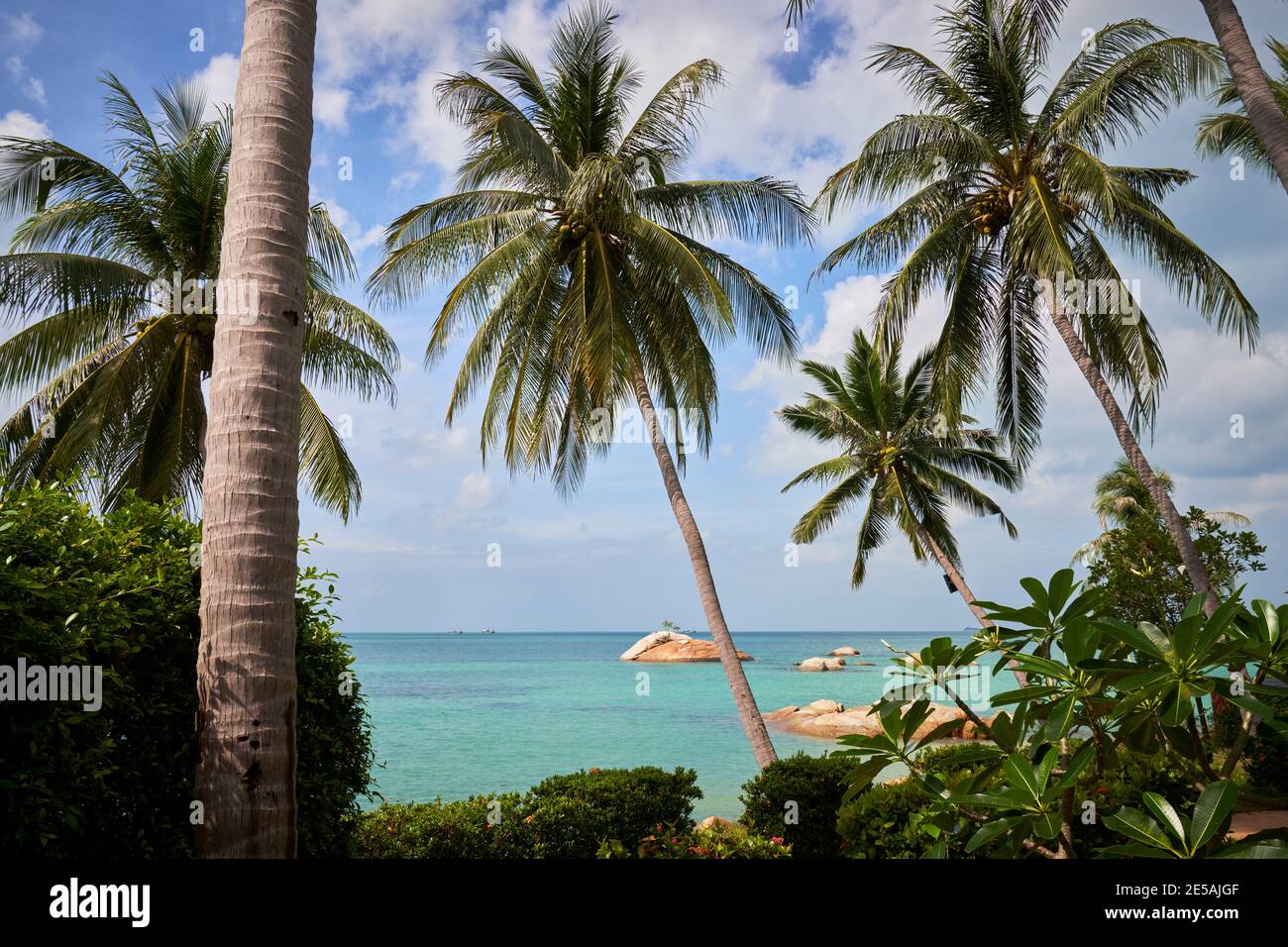 Île tropicale avec vue sur le golfe de Thaïlande à travers les cocotiers. Banque D'Images