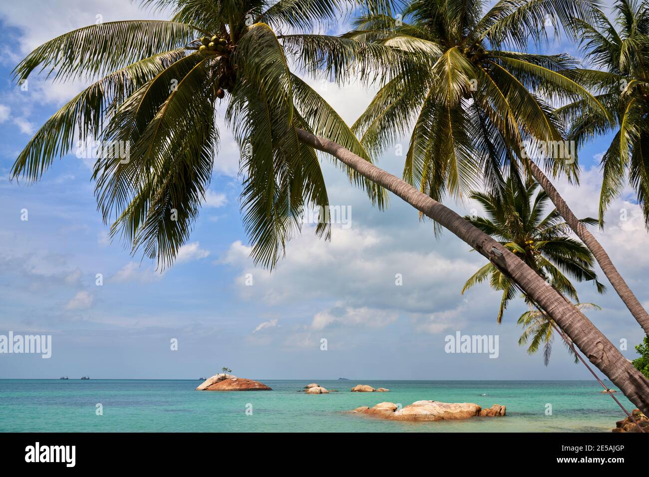 Île tropicale avec vue sur le golfe de Thaïlande à travers les cocotiers. Banque D'Images