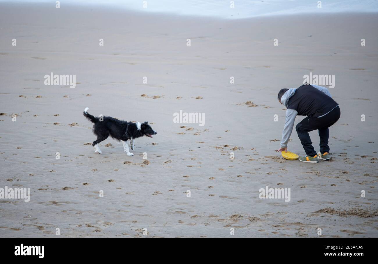 chien avec son propriétaire jouant sur la plage Banque D'Images