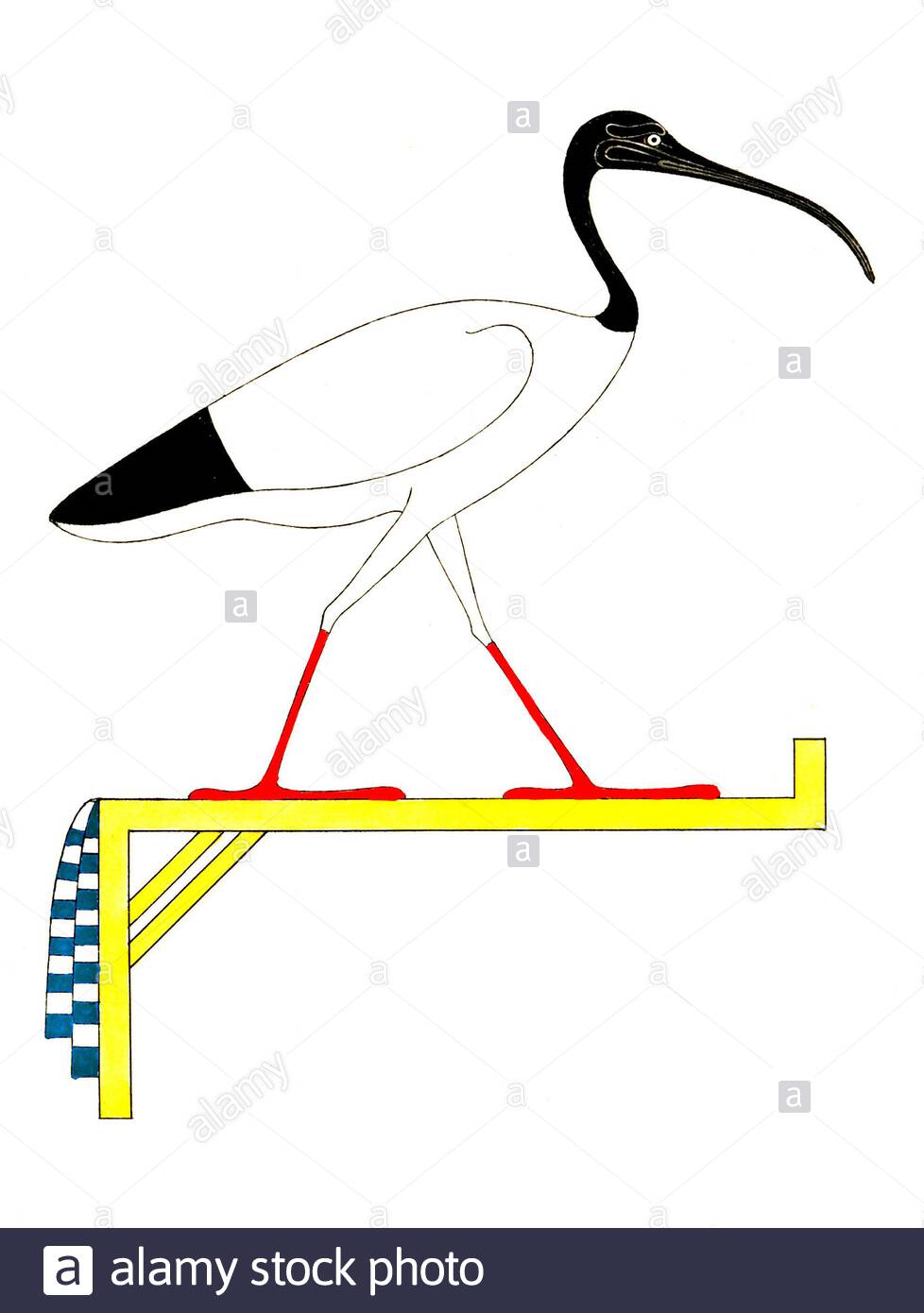 Egypte ancienne, Ibis Sacré, illustration ancienne de 1823 Banque D'Images