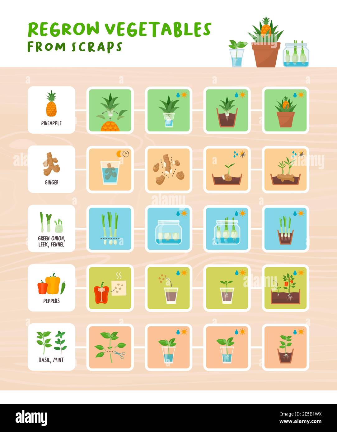 Infographie sur les légumes de la tremblante : jardinage à domicile, zéro déchet et concept d'aliments biologiques sains Illustration de Vecteur