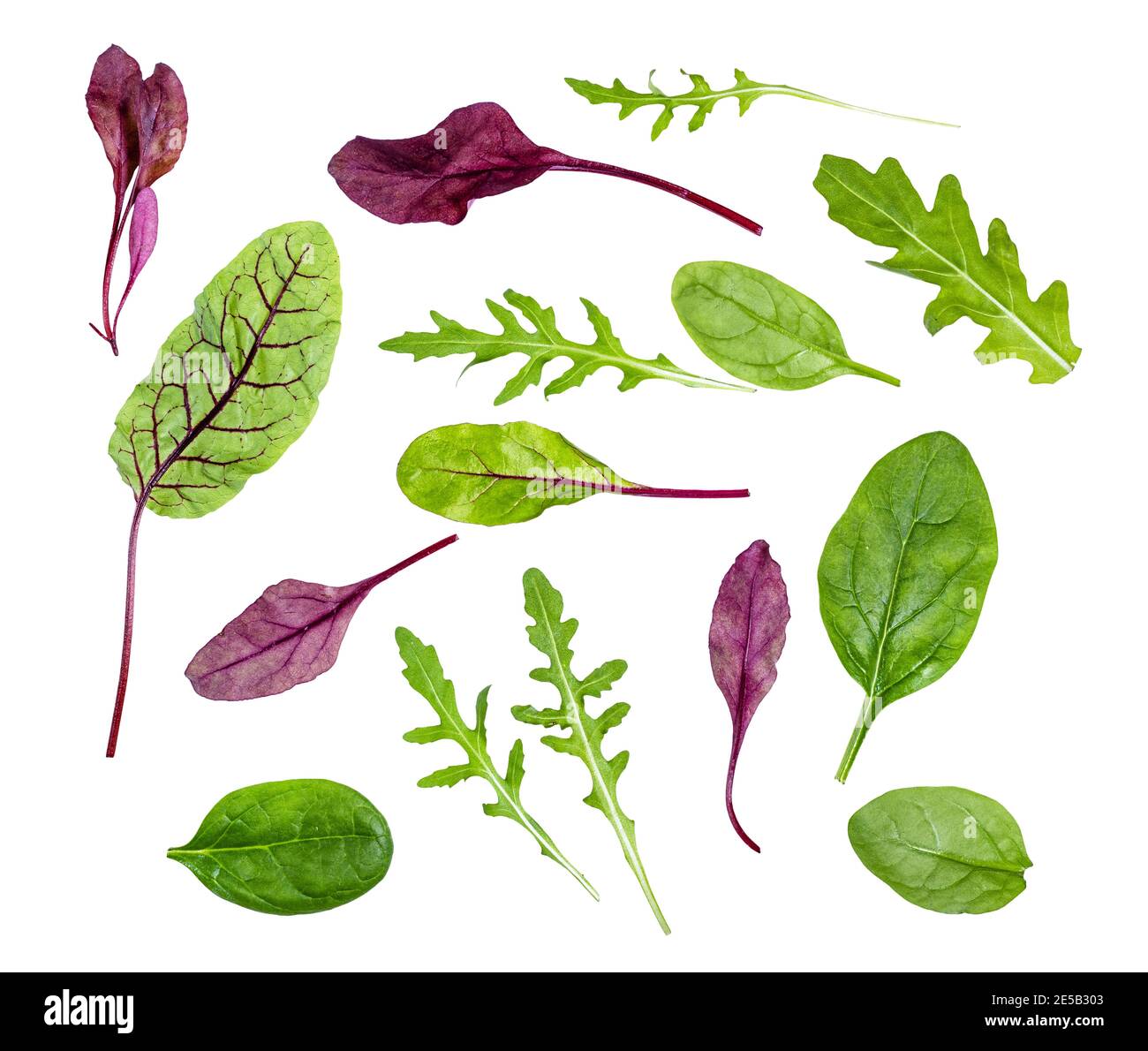 feuilles fraîches de divers légumes à feuilles (verger, épinards, arugula) isolées sur fond blanc Banque D'Images