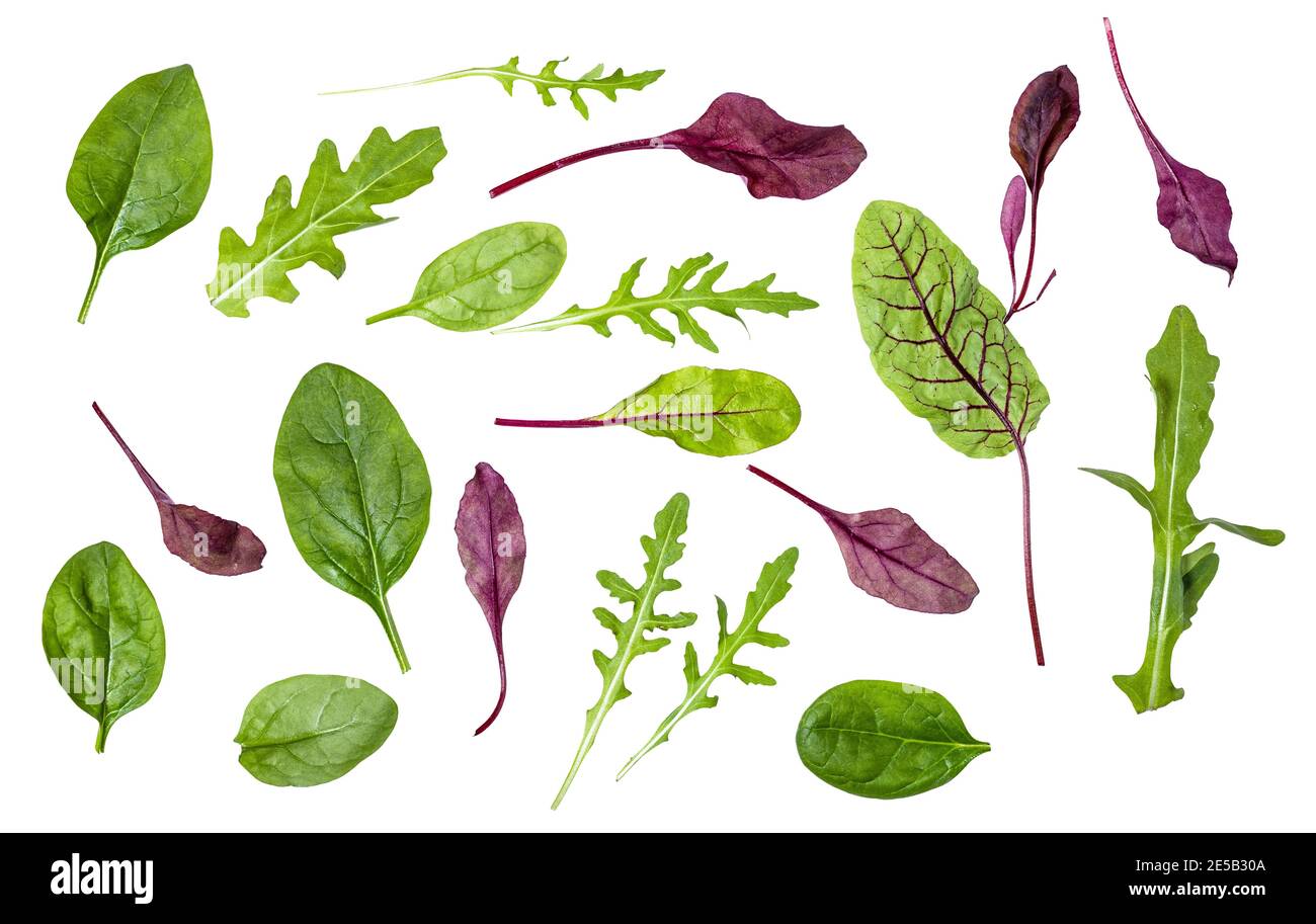 différentes feuilles de légumes feuillus (verger, épinards, arugula) isolées sur fond blanc Banque D'Images