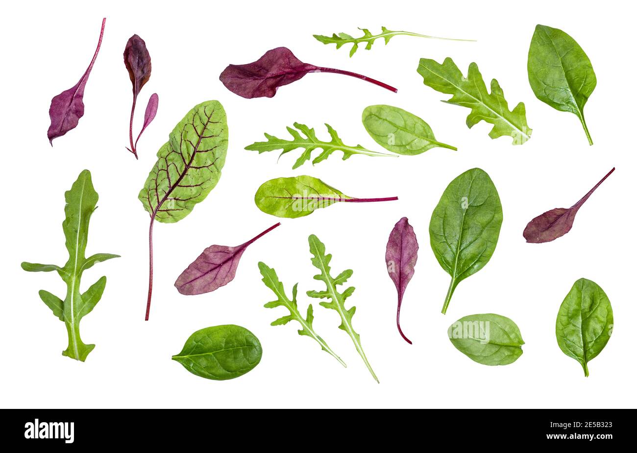 de nombreuses feuilles fraîches de divers légumes à feuilles (verger, épinards, arugula) isolées sur fond blanc Banque D'Images