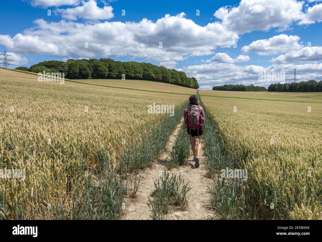 Randonneur marchant sur la Hangers Way un sentier de 21 kilomètres de long à travers le Hampshire, en Angleterre, d'Alton à Queen Elizabeth Country Park Banque D'Images