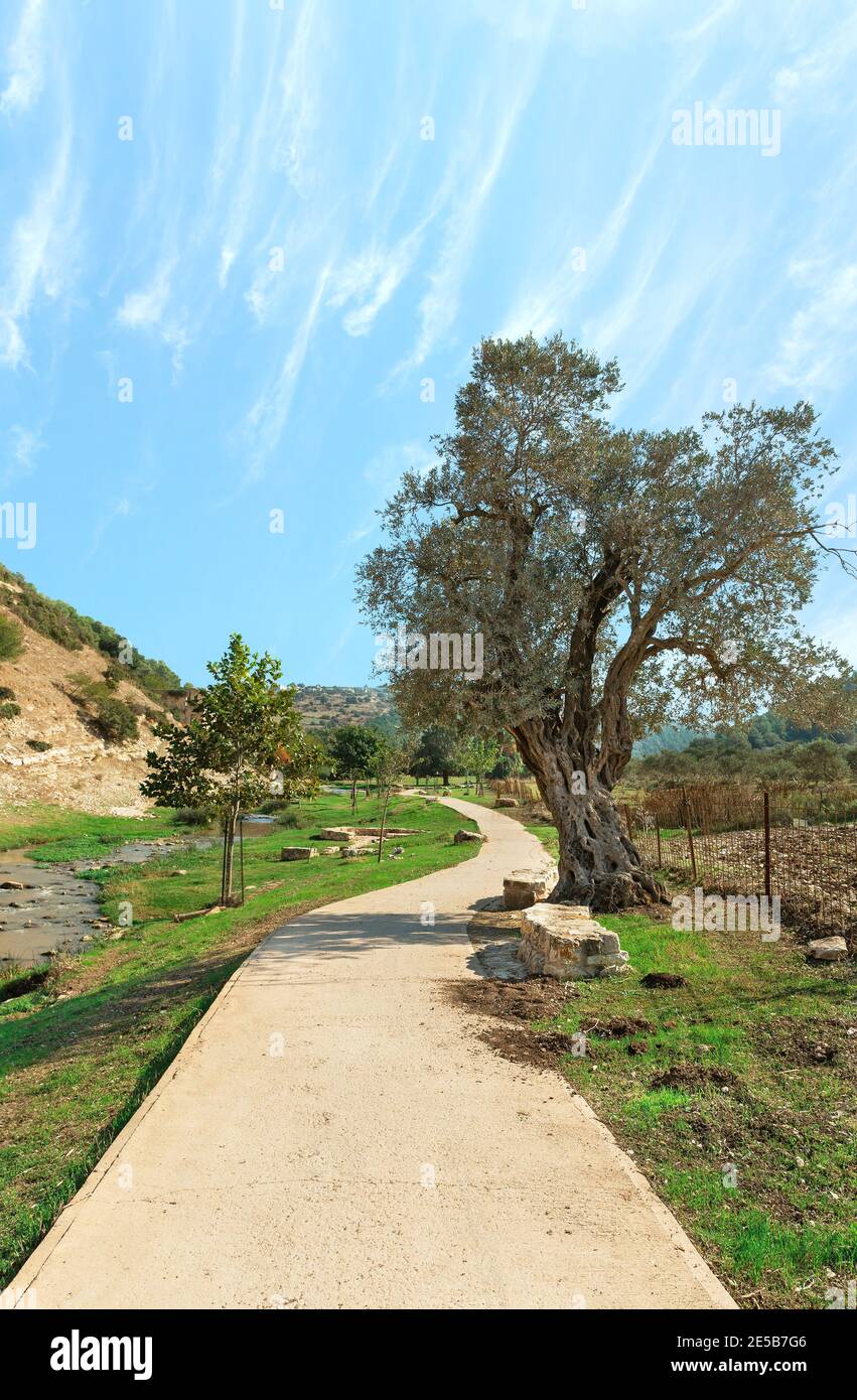 sentier de randonnée le long de la rivière sur le fond d'un Beau ciel en Israël Banque D'Images