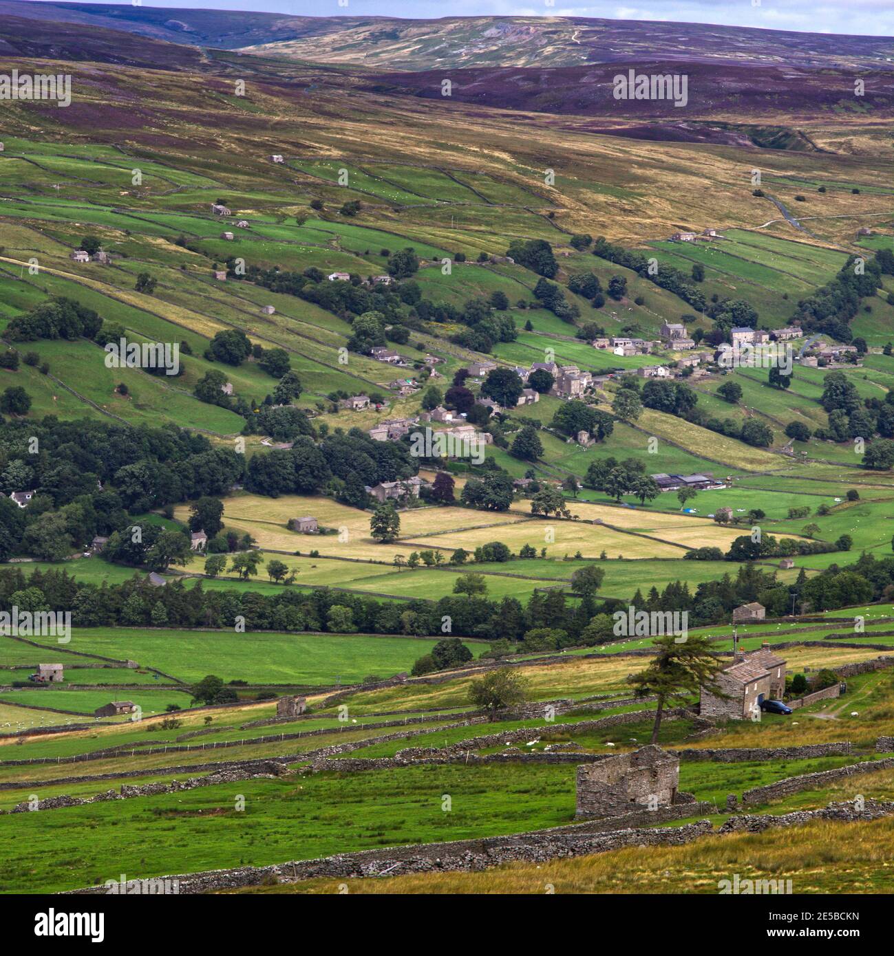 Grande vue panoramique de Swaledale près du village de Low Row, parc national de Yorkshire Dales montrant les champs et les granges. Banque D'Images