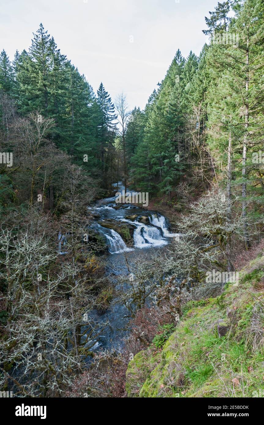 Quelques chutes d'eau et des rapides au ruisseau Lacamas, dans le parc Lacamas, à Vancouver, dans l'État de Washington. Il y a des nids-de-poule dans les rochers. Banque D'Images