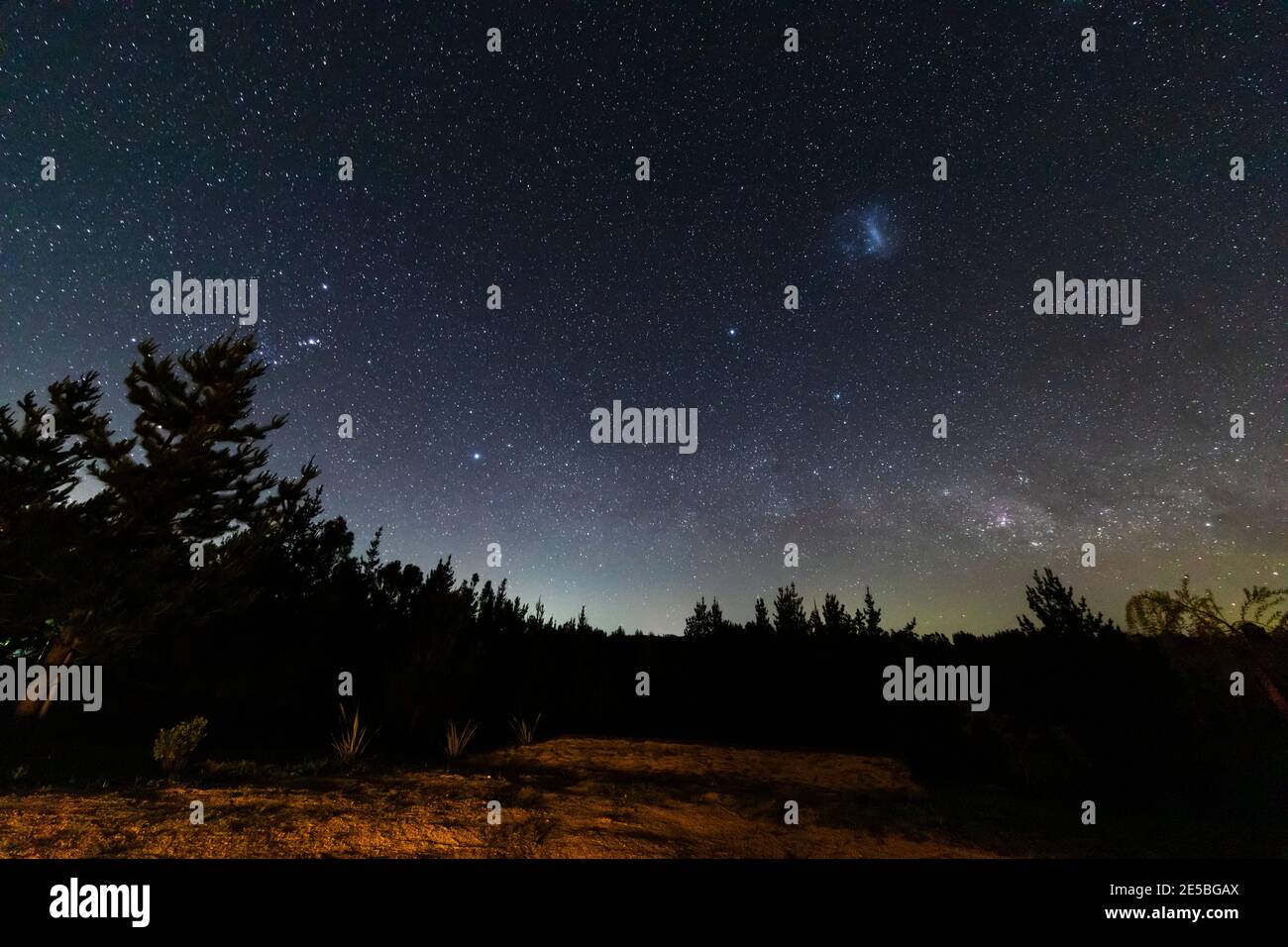 L'incroyable ciel nocturne plein d'étoiles. Un paysage impressionnant en plein air avec la forêt, les arbres et les étoiles qui brillent au loin. Un rêve et Banque D'Images