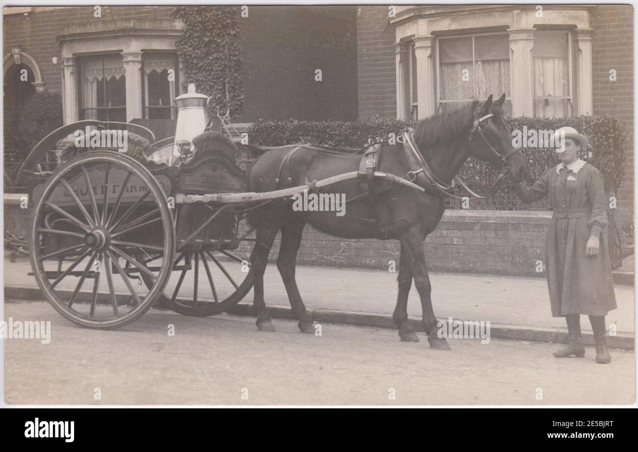 Cheval et chariot de livraison de lait, Colchester, Essex. Le conducteur ou le propriétaire est debout à la tête du chariot. Banque D'Images