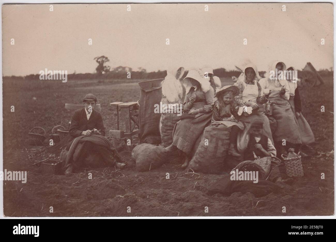 Cueilleurs de pommes de terre en pause : ouvriers agricoles pour femmes et enfants assis dans le champ, ayant de la nourriture et des boissons (y compris une bouteille de cidre et une théière/cafetière), Grande-Bretagne du début du XXe siècle Banque D'Images