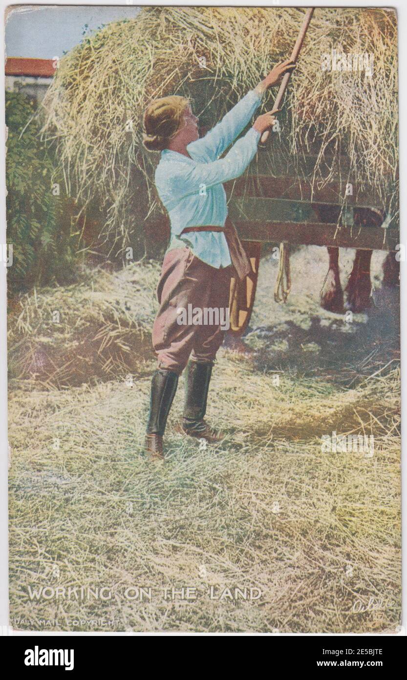 Carte postale d'une fille de terre de la première Guerre mondiale aidant avec la récolte Banque D'Images