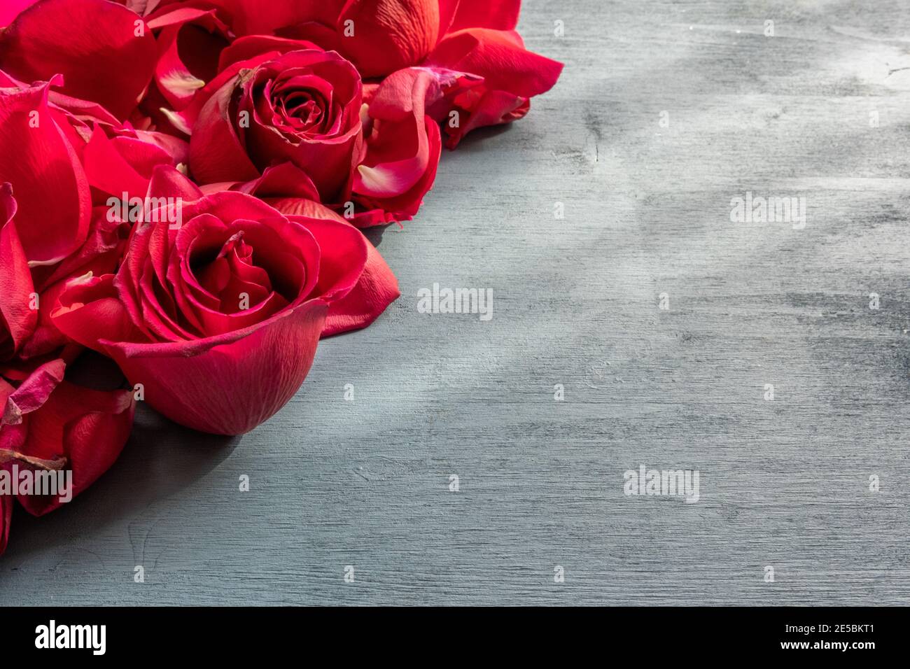 Concept de célébration et d'événement spécial : vue d'en haut sur les pétales de rose ouverts rouges disposés sur le cadre de gauche. Fond gris texturé en bois naturel Banque D'Images