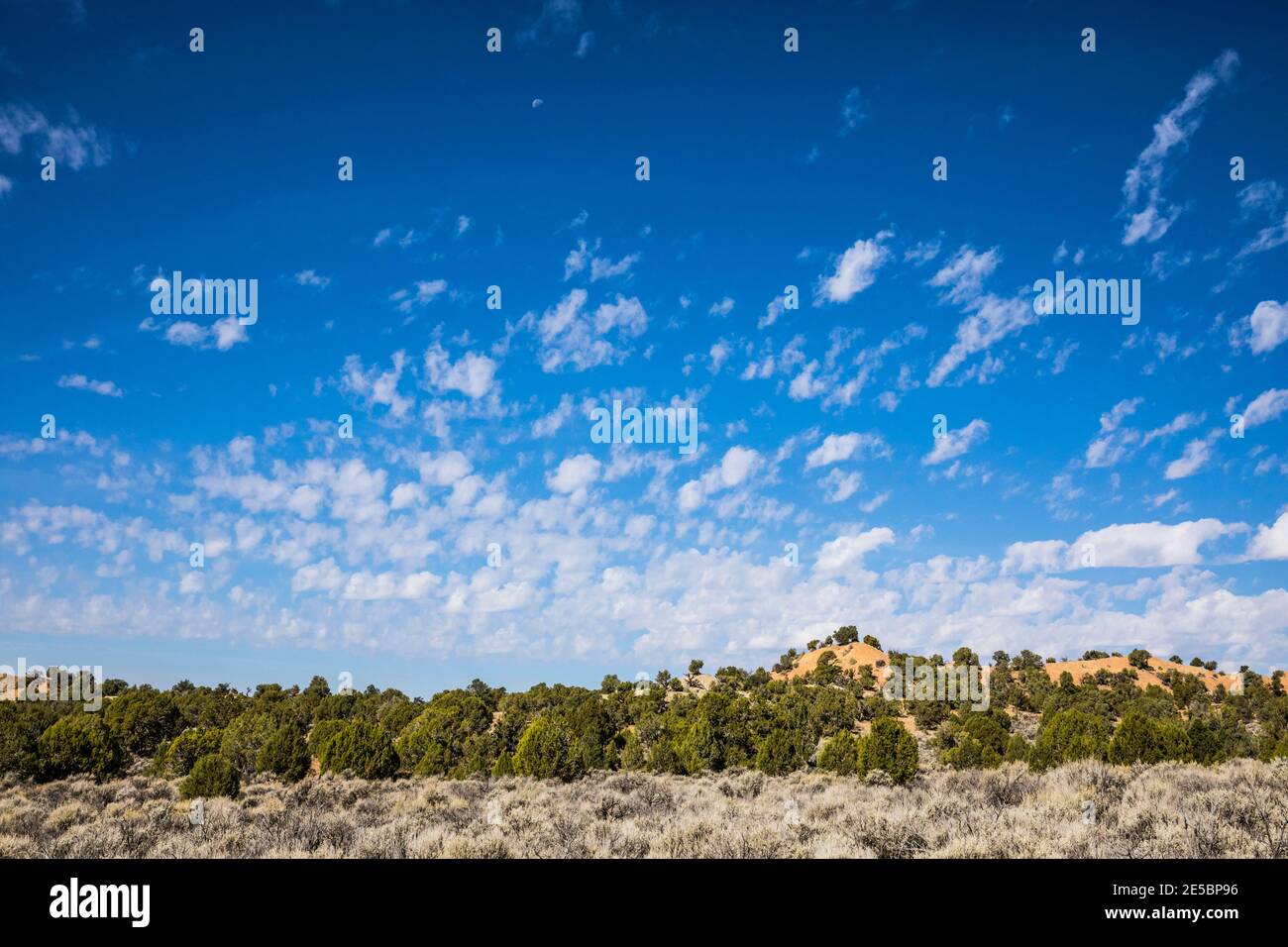 Nuages de pop-corn au-dessus du monument national Grand Staircase Escalante, Utah, États-Unis. Banque D'Images