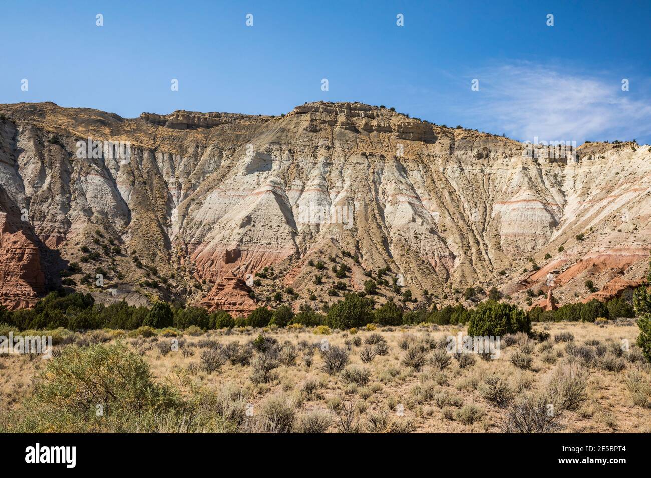 Des goélands sur une mesa dans le parc national de Kodachrome Basin, Utah, États-Unis. Banque D'Images
