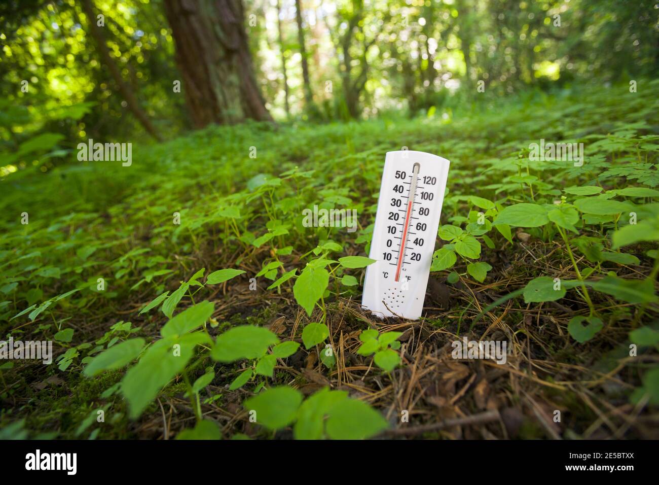 Une image conceptuelle d'un thermomètre collé dans le sol montrant une température élevée illustrant le changement climatique global / réchauffement de la planète. Banque D'Images