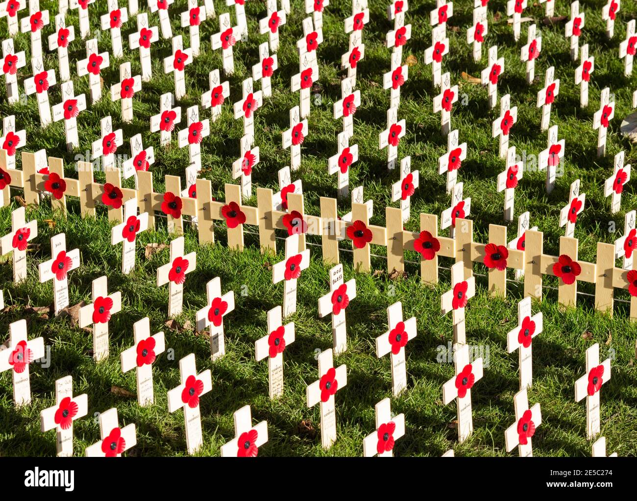 Coquelicots sur croix en bois. Coquelicot appel jour du souvenir Royaume-Uni Banque D'Images