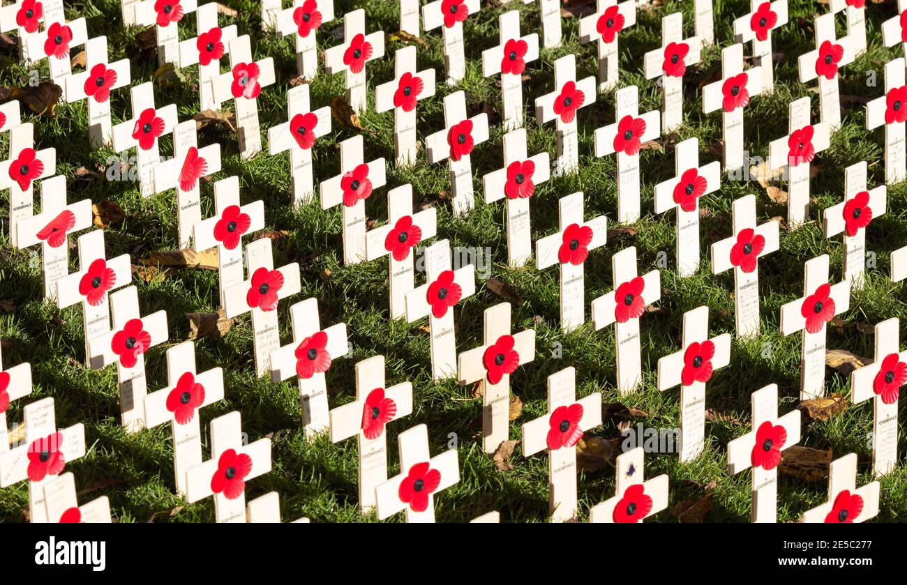 Coquelicots sur croix en bois. Coquelicot appel jour du souvenir Royaume-Uni Banque D'Images