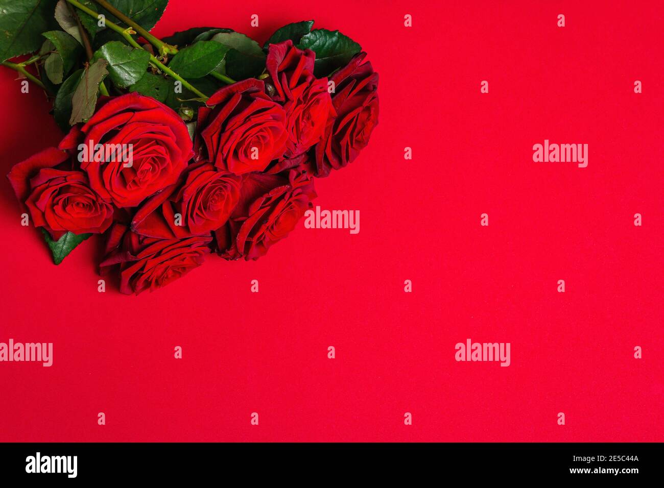 Bouquet de roses bordeaux fraîches sur fond de mousse rouge mat. Fleurs  rouges parfumées, concept cadeau pour la Saint-Valentin, mariage ou  anniversaire Photo Stock - Alamy
