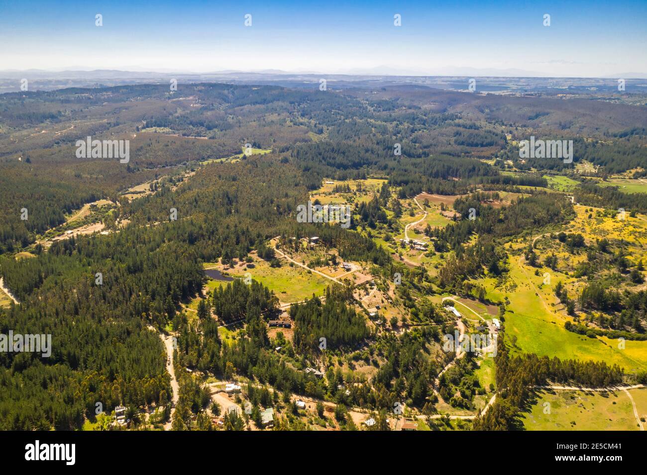 Vue aérienne étonnante de la campagne chilienne avec les arbres dans la forêt et les champs agricoles, par une journée ensoleillée avec un ciel bleu. Un arrière-plan vert Banque D'Images